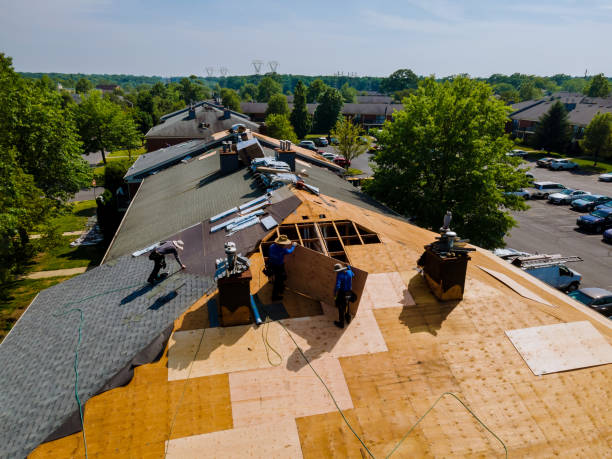 Trusted Storm Damage Roof Repair service in Scotia, SC - Brentwood Metal Roofing